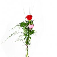 Sweet heart - rosor - Skicka blommor %city%
